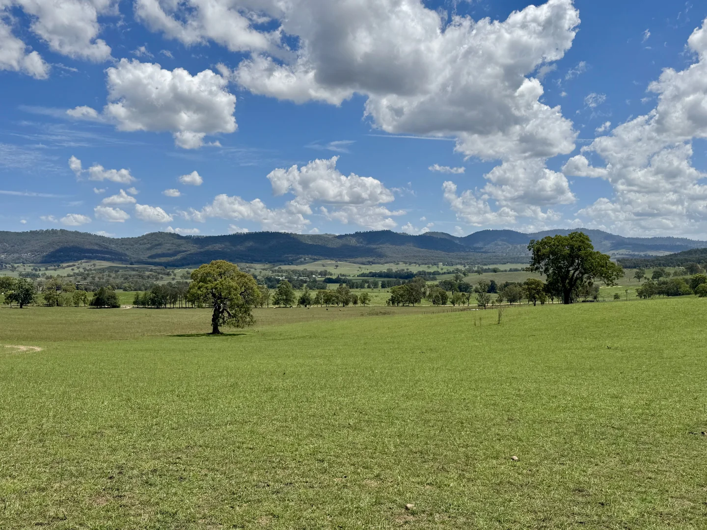 Additional image 23 of "Nullegai" 190 Thompson Creek Road, Scone NSW 2337