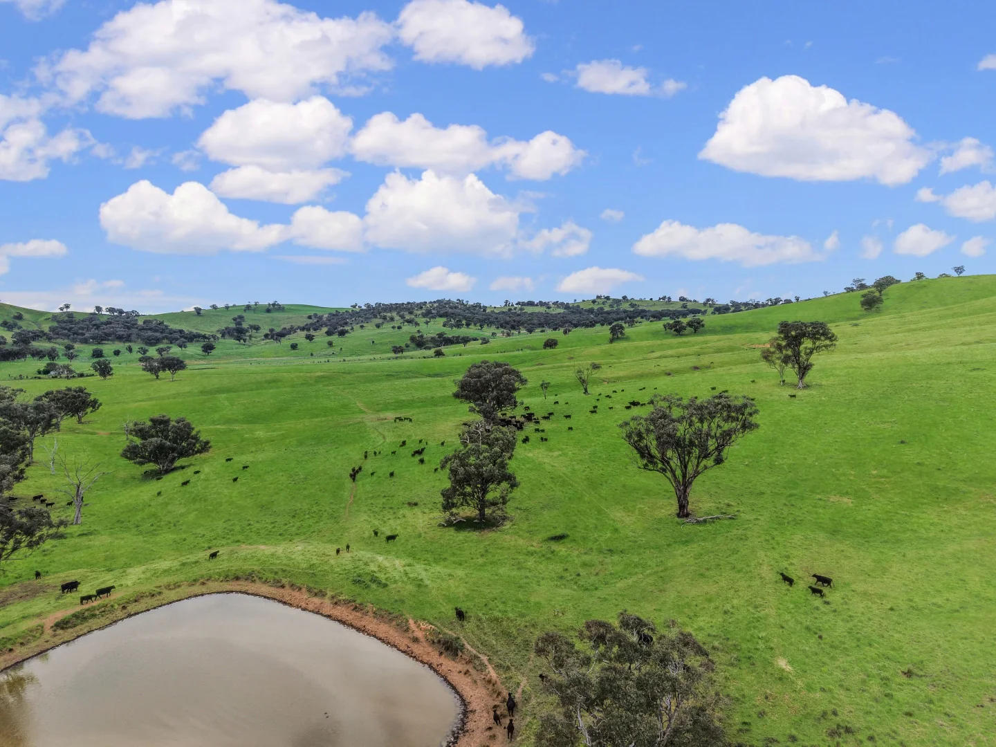 Additional image 43 of 'horse Gully' Old Waugoola Road, Woodstock NSW 2793