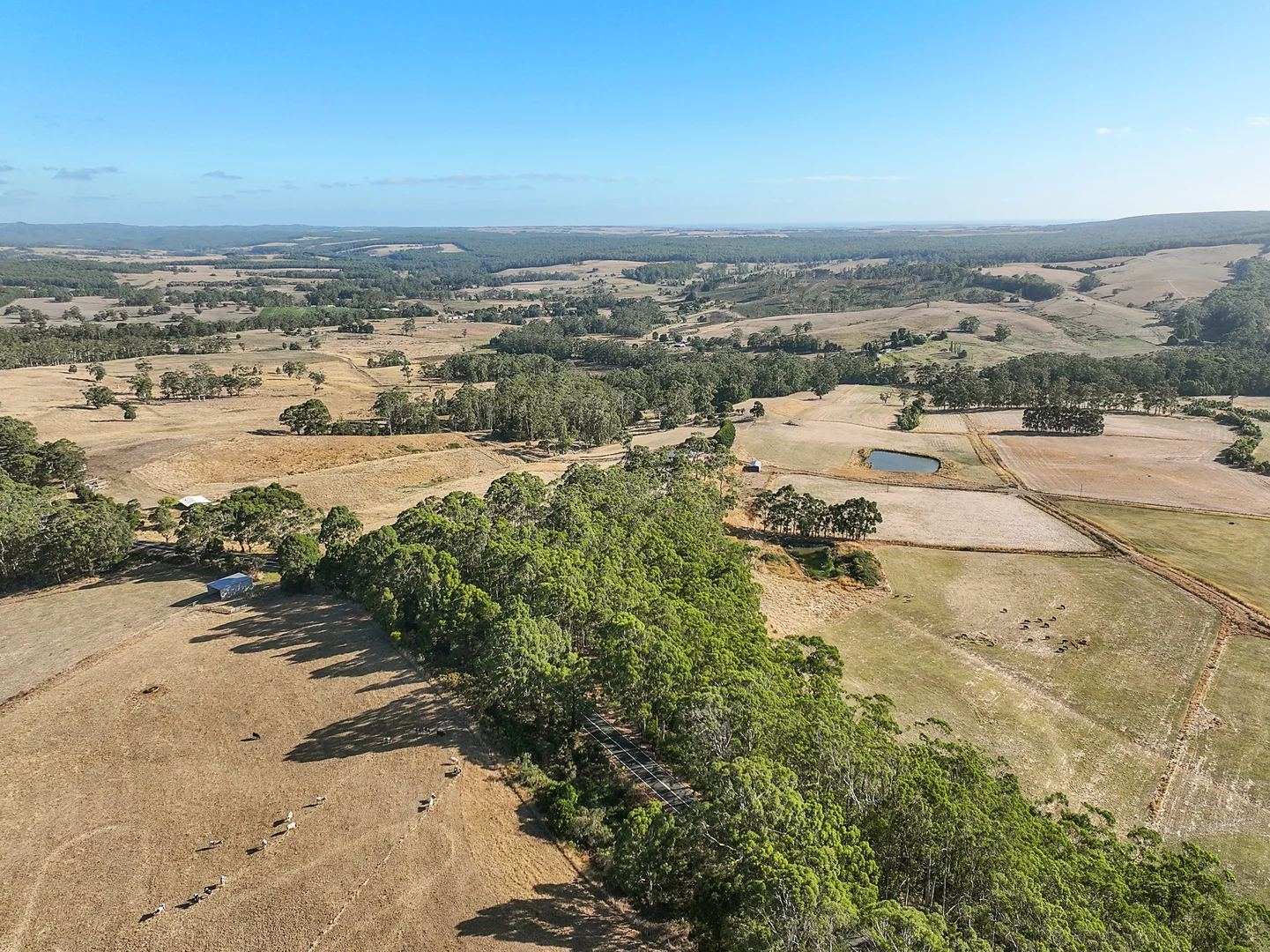 Additional image 8 of 3384 Lavers Hill-Cobden Road, Kennedys Creek VIC 3239