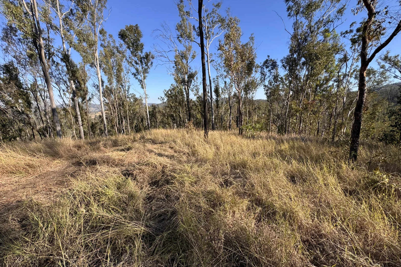 Additional image 14 of "Jalna" 266 Childs Road, Boyne Valley QLD 4680