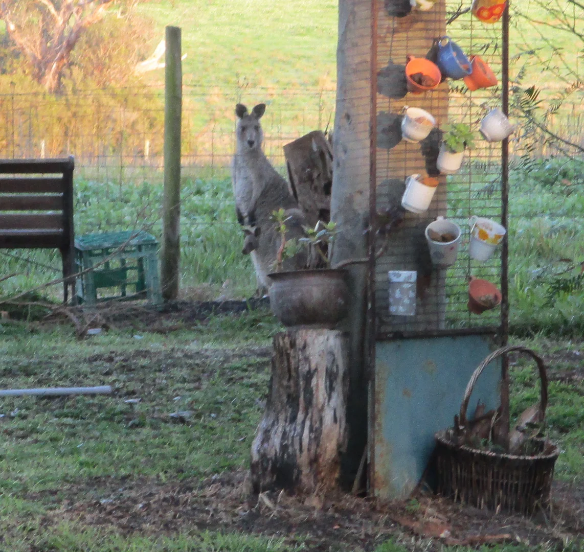 Additional image 27 of 31 Bayview Avenue, Tenby Point VIC 3984