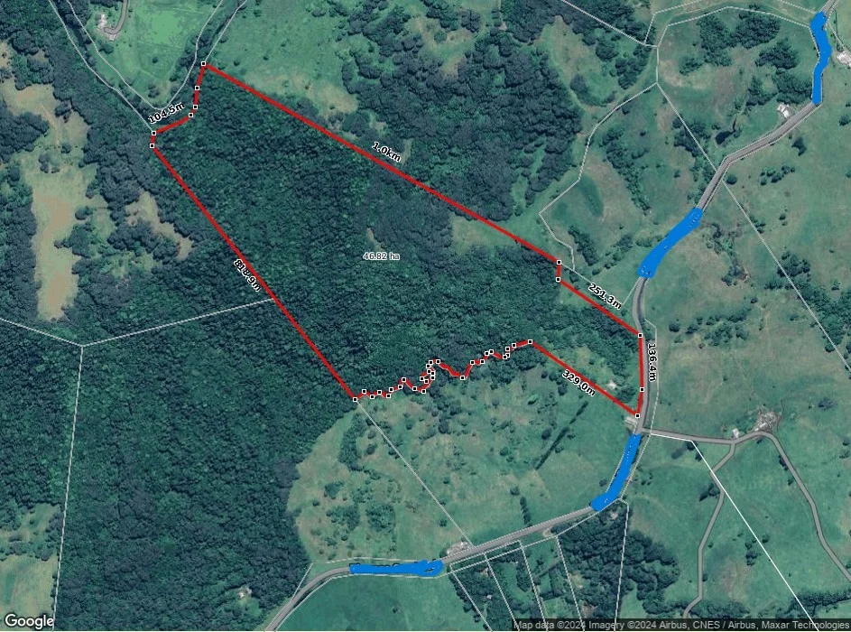 Additional image 4 of 581 Theresa Creek Road, Millaa Millaa QLD 4886