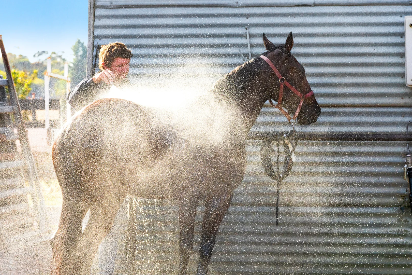 Additional image 16 of 61 Wiggins Road, Mitchell Park VIC 3355