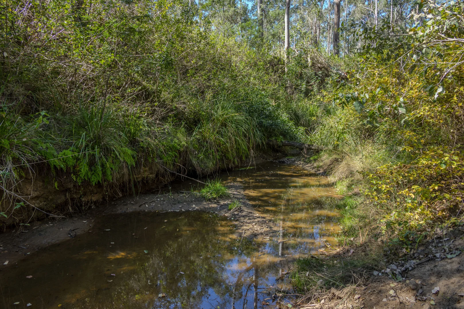 Additional image 28 of 151 Cameron Road, Taromeo QLD 4314
