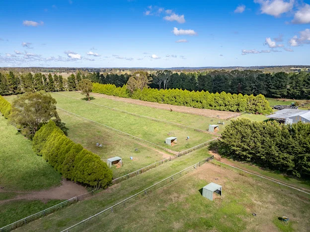 Additional image 13 of 543 Aberbaldie road, Walcha NSW 2354