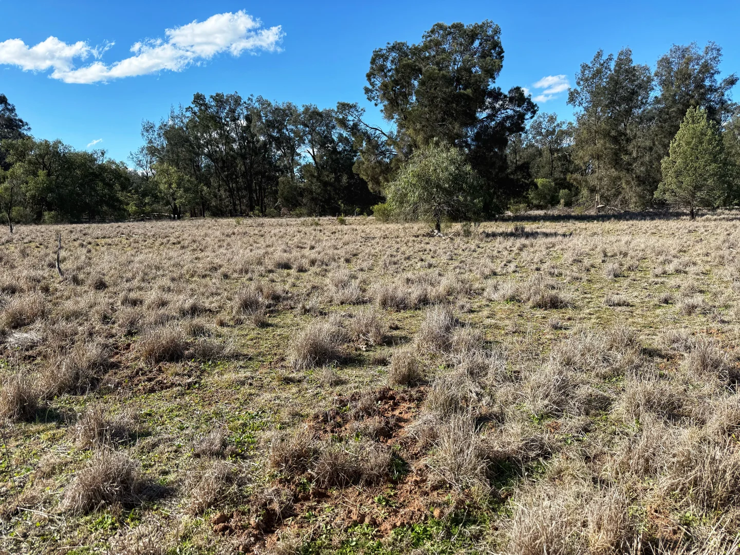 Additional image 6 of 4546 The Bogan Way, Tottenham NSW 2873