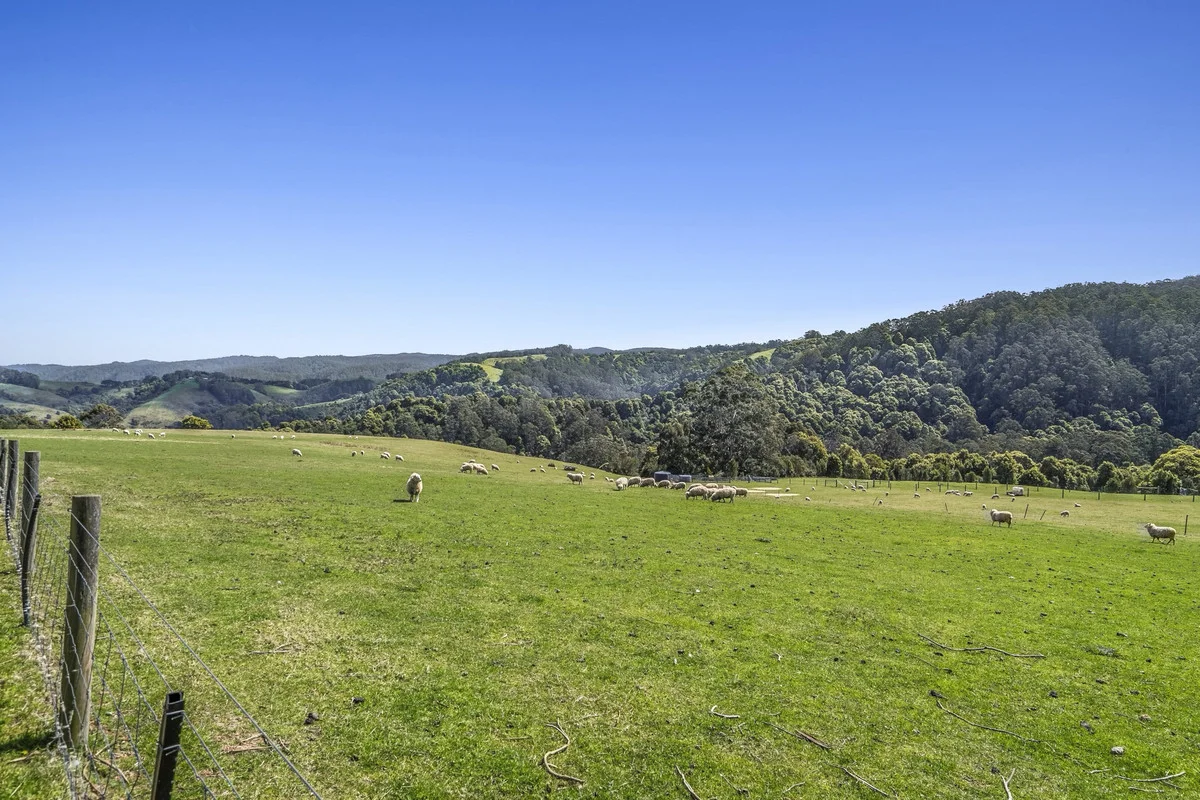 Additional image 11 of 675 Skenes Creek Road, Skenes Creek North VIC 3233