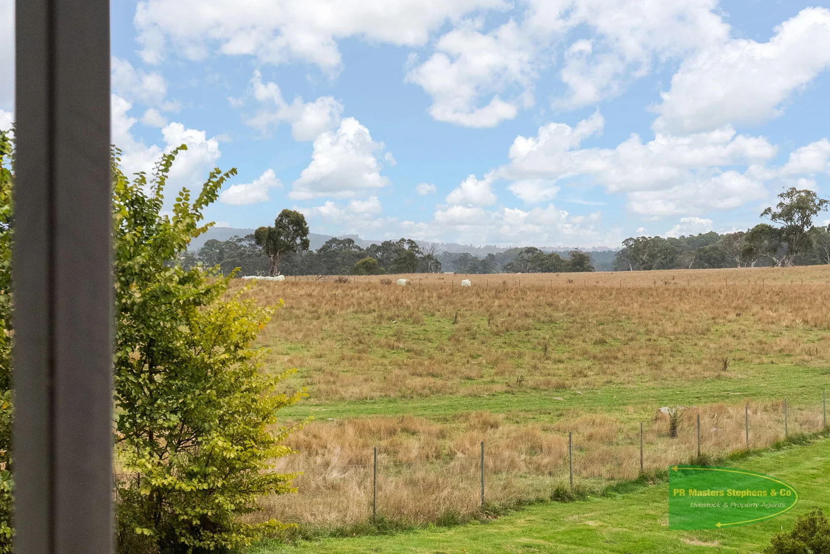 Additional image 47 of 800 Riverview Forest Road, Mozart NSW 2787