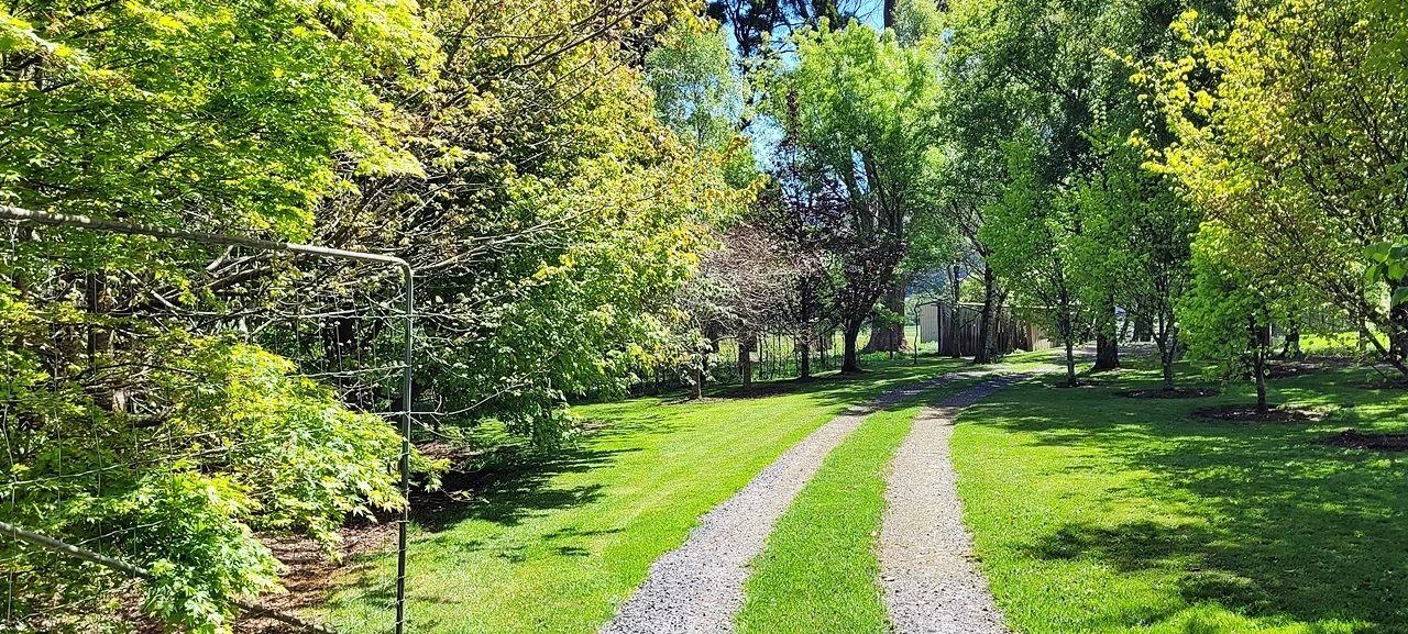 Additional image 27 of 174 Fabers Road, Riana TAS 7316