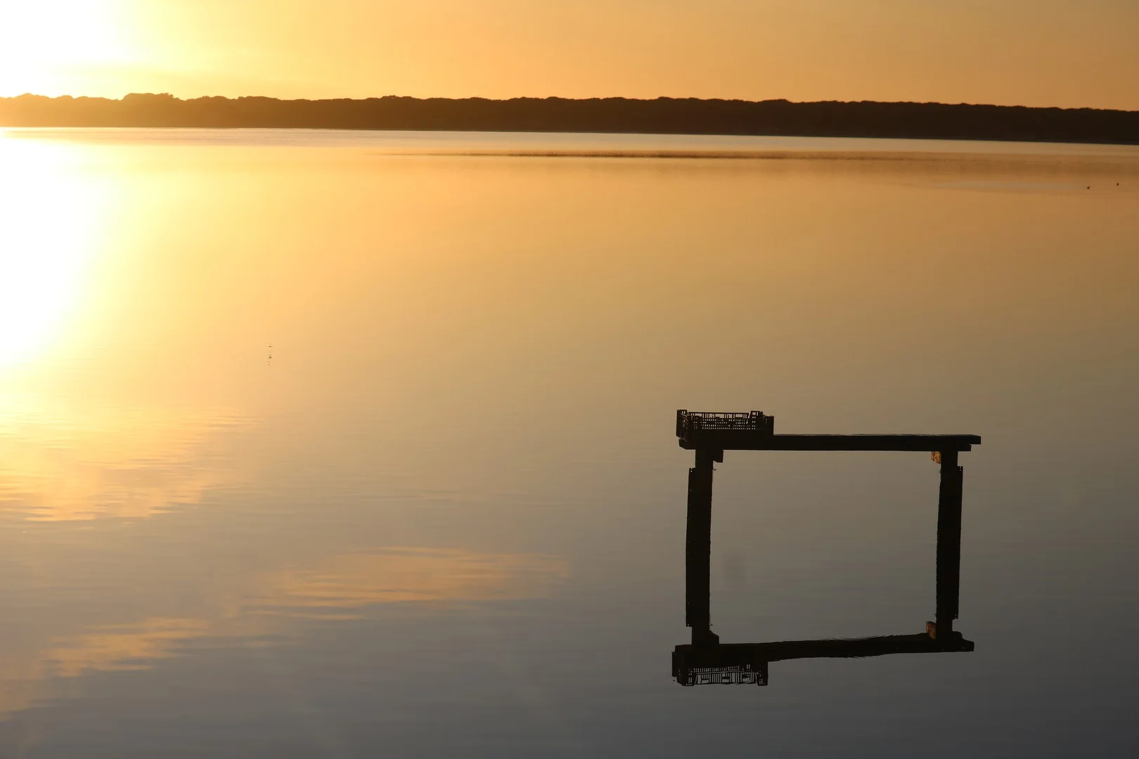 Additional image 7 of Lot 1 North East River Road, Palana TAS 7255