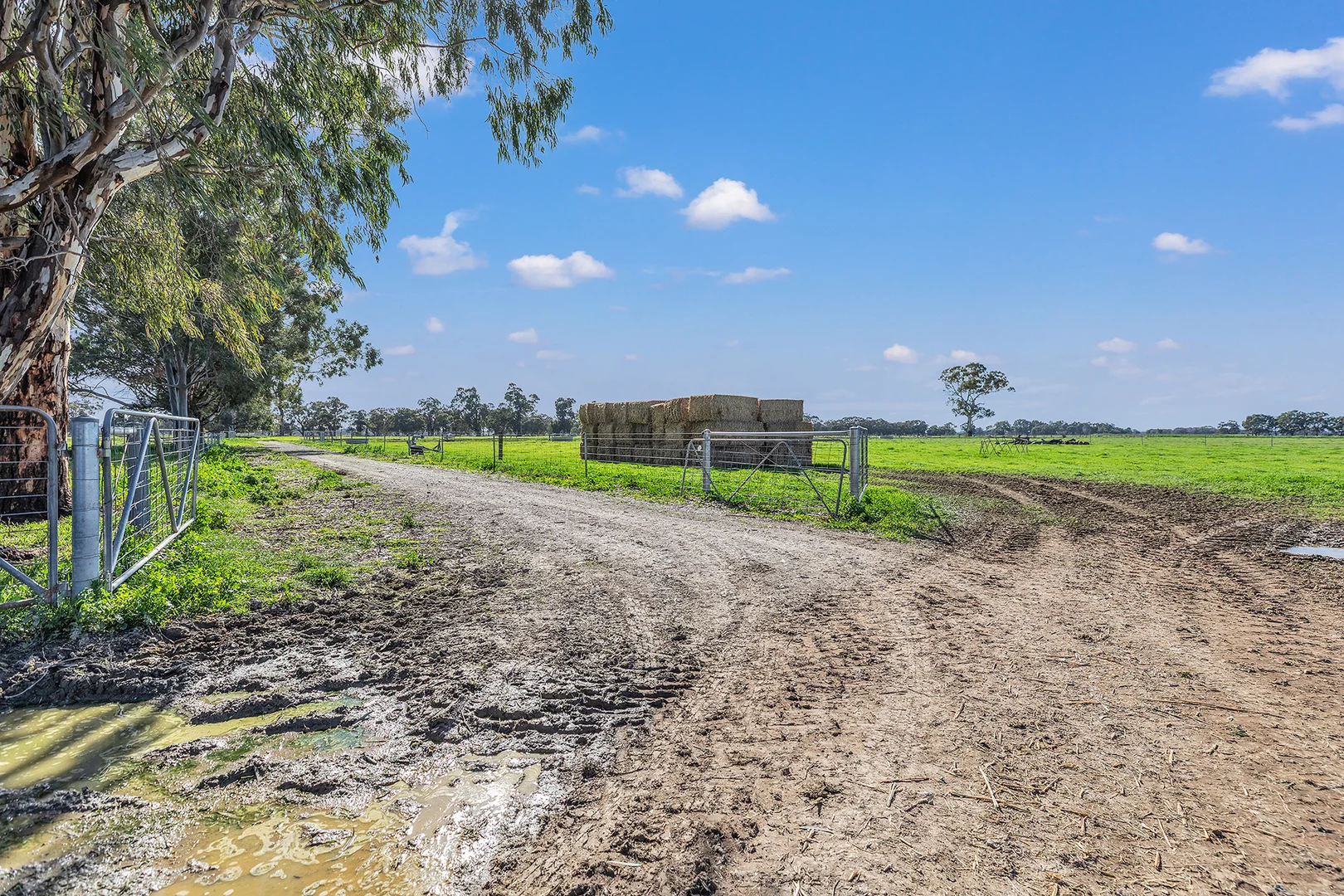 Additional image 26 of 341 Murray Valley Highway, Strathmerton VIC 3641