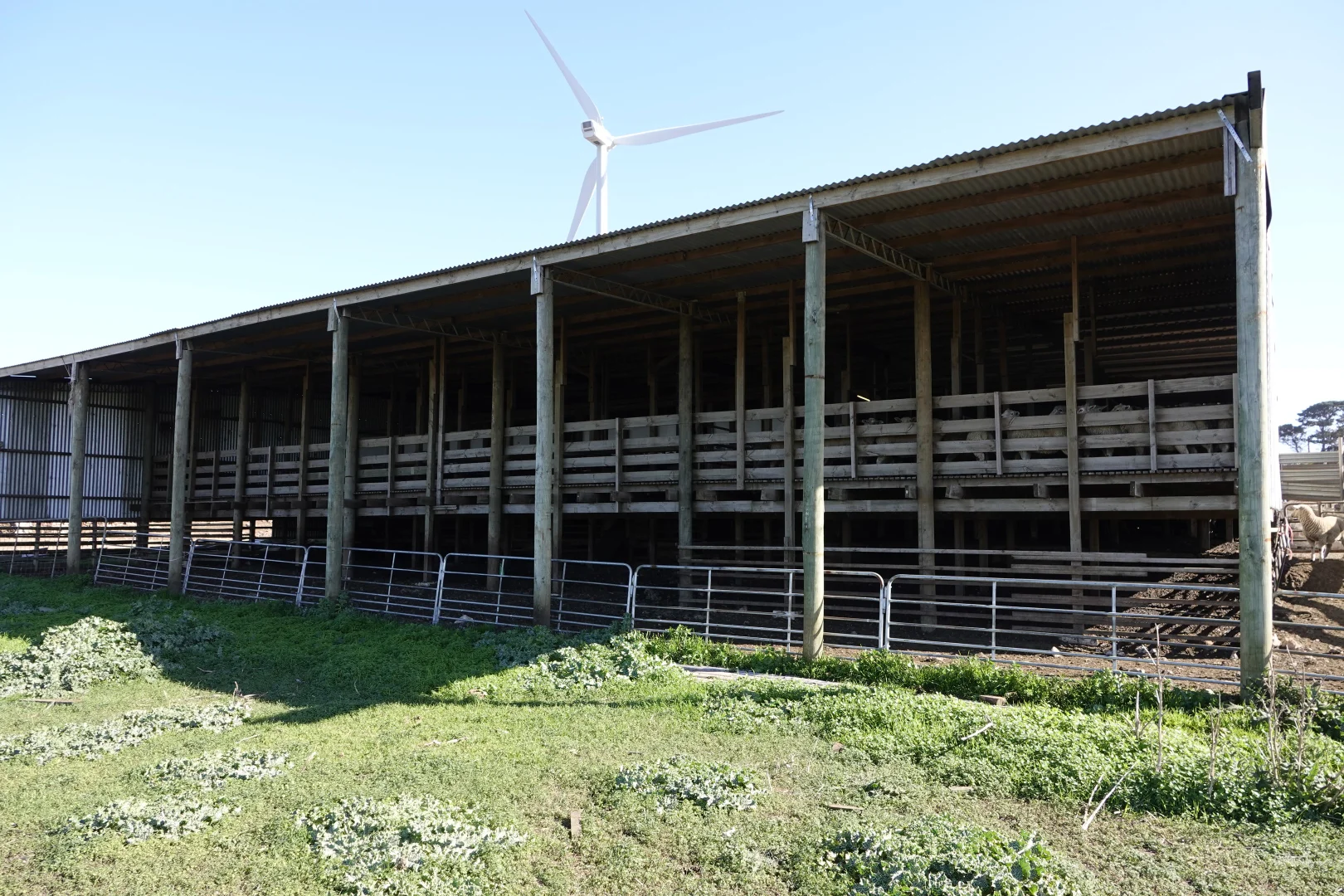 Additional image 6 of 75 Duckhole Flat Road, German Flat SA 5280