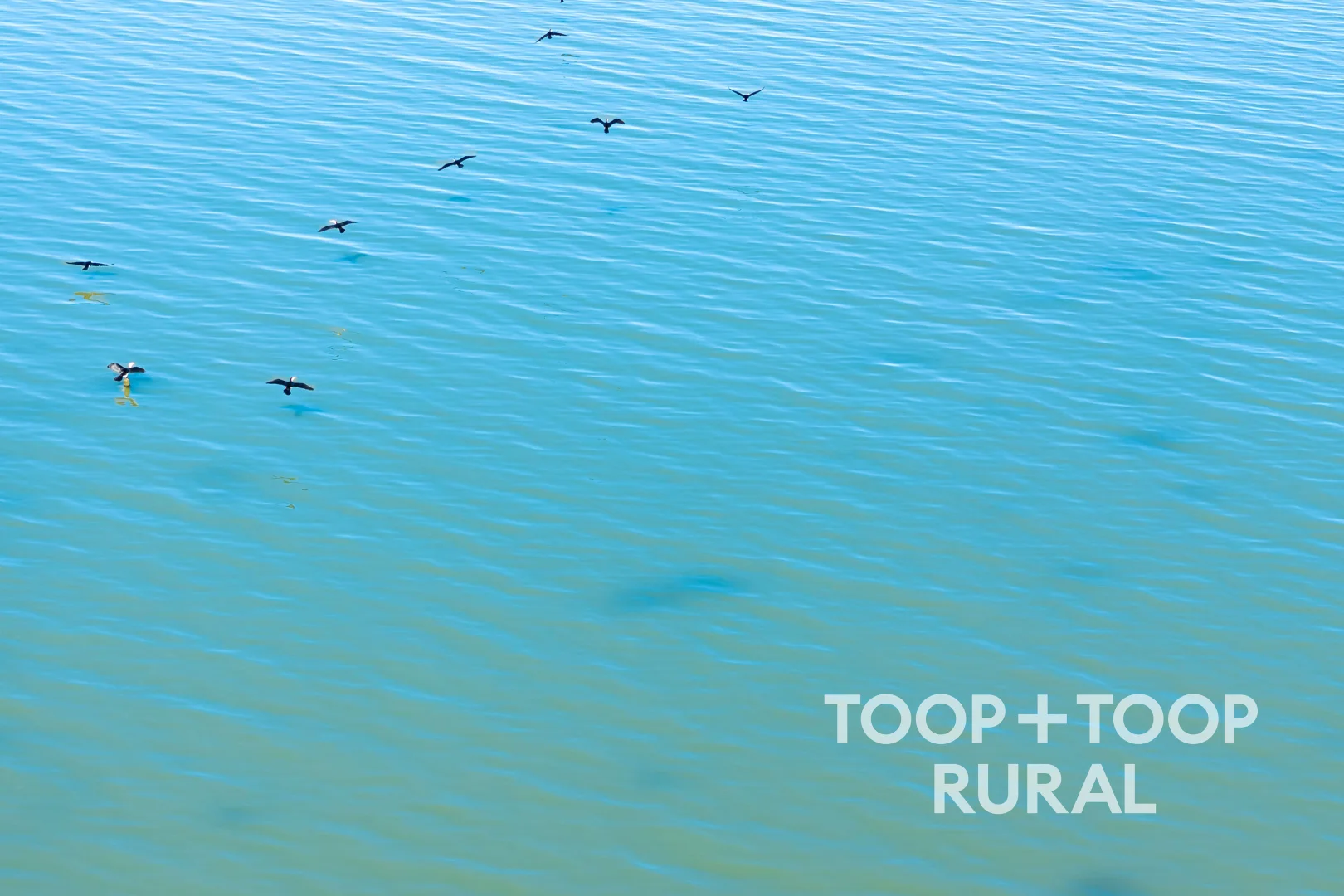 Additional image 6 of 248 Bongalong Road, Hindmarsh Island SA 5214