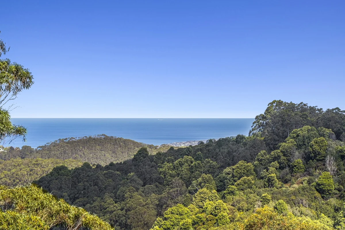 Additional image 9 of 675 Skenes Creek Road, Skenes Creek North VIC 3233