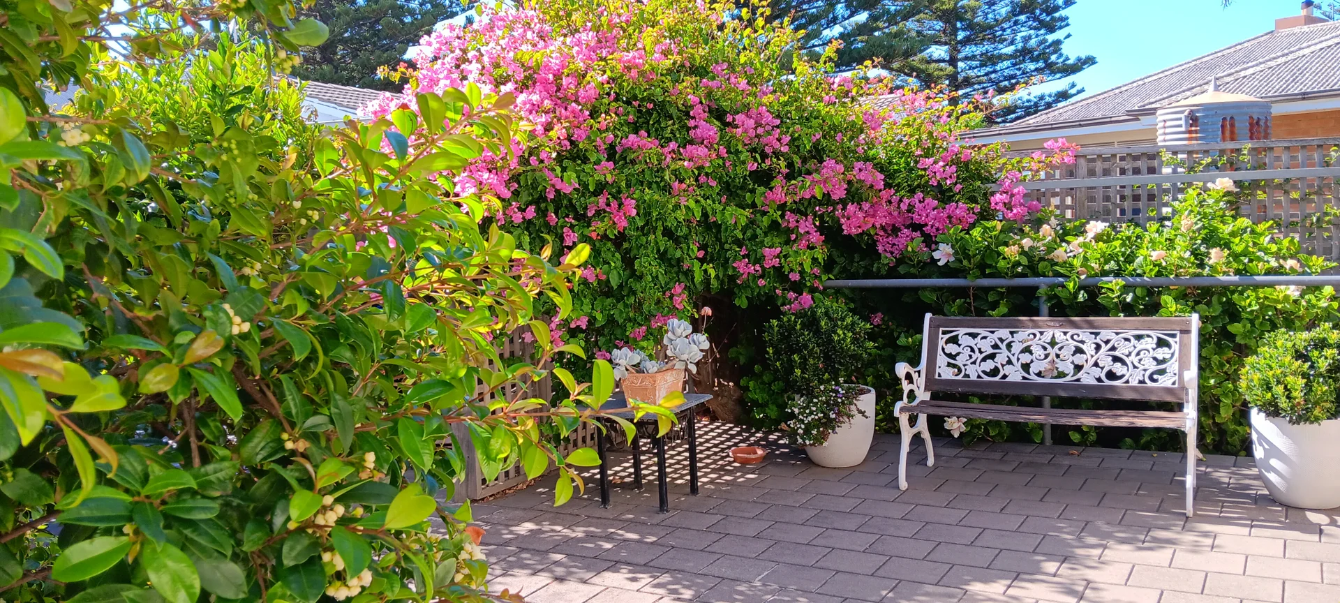 Additional image 26 of 2 Charles St, Encounter Bay SA 5211