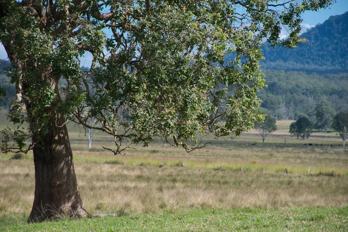 Additional image 25 of 15675 Clarence Way, Bean Creek NSW 2469