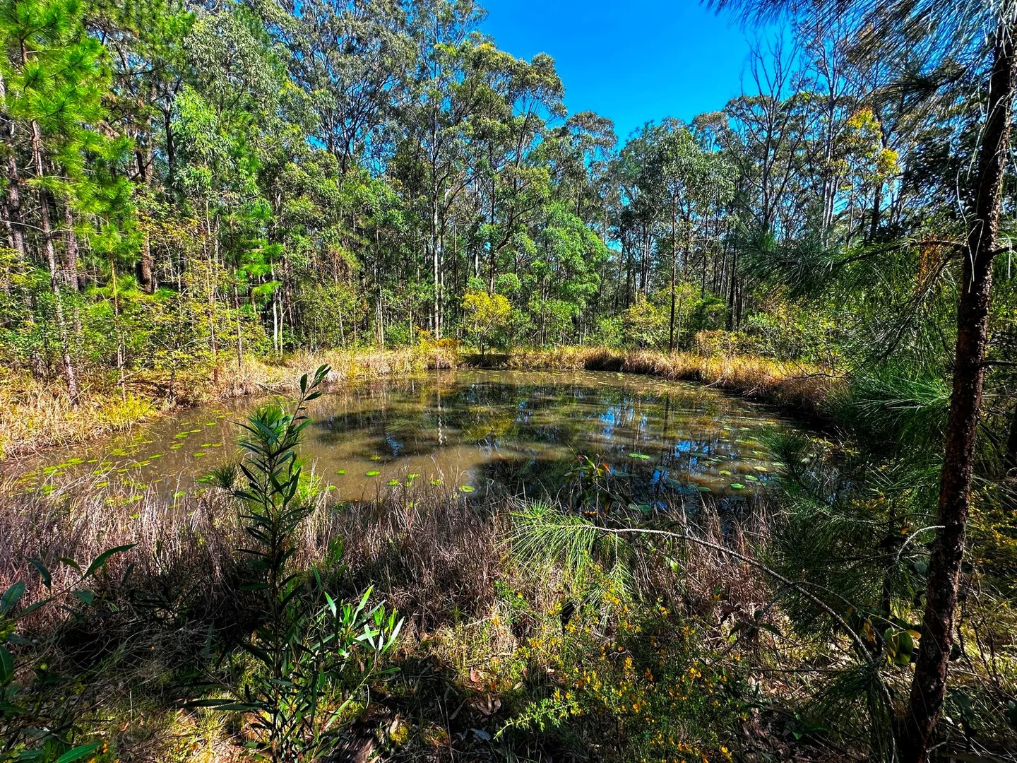 Additional image 5 of 88 Clarke Street, Pindimar NSW 2324