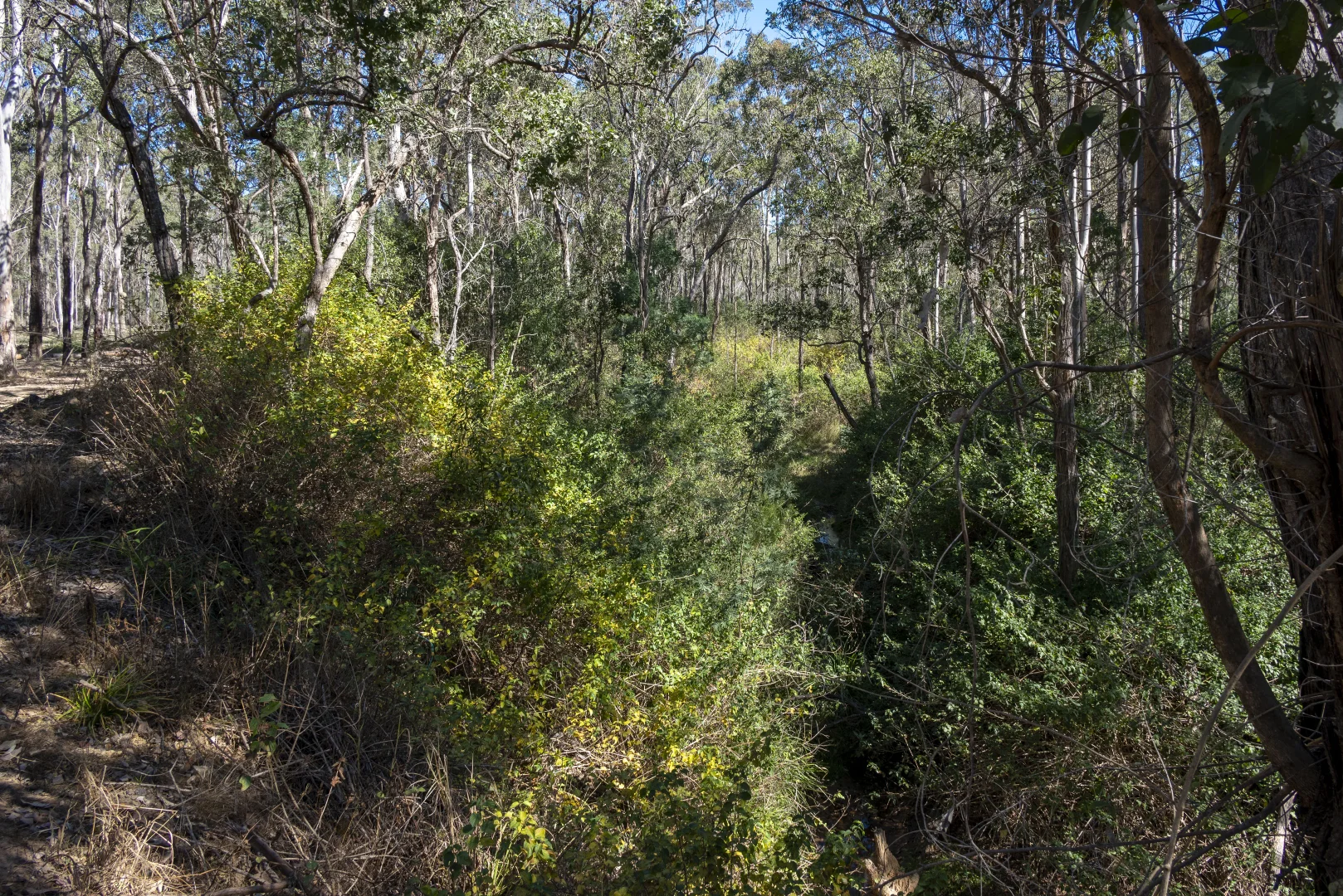 Additional image 11 of 151 Cameron Road, Taromeo QLD 4314