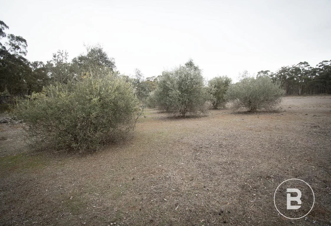 Additional image 3 of 163 Kicks Lane, Dunolly VIC 3472