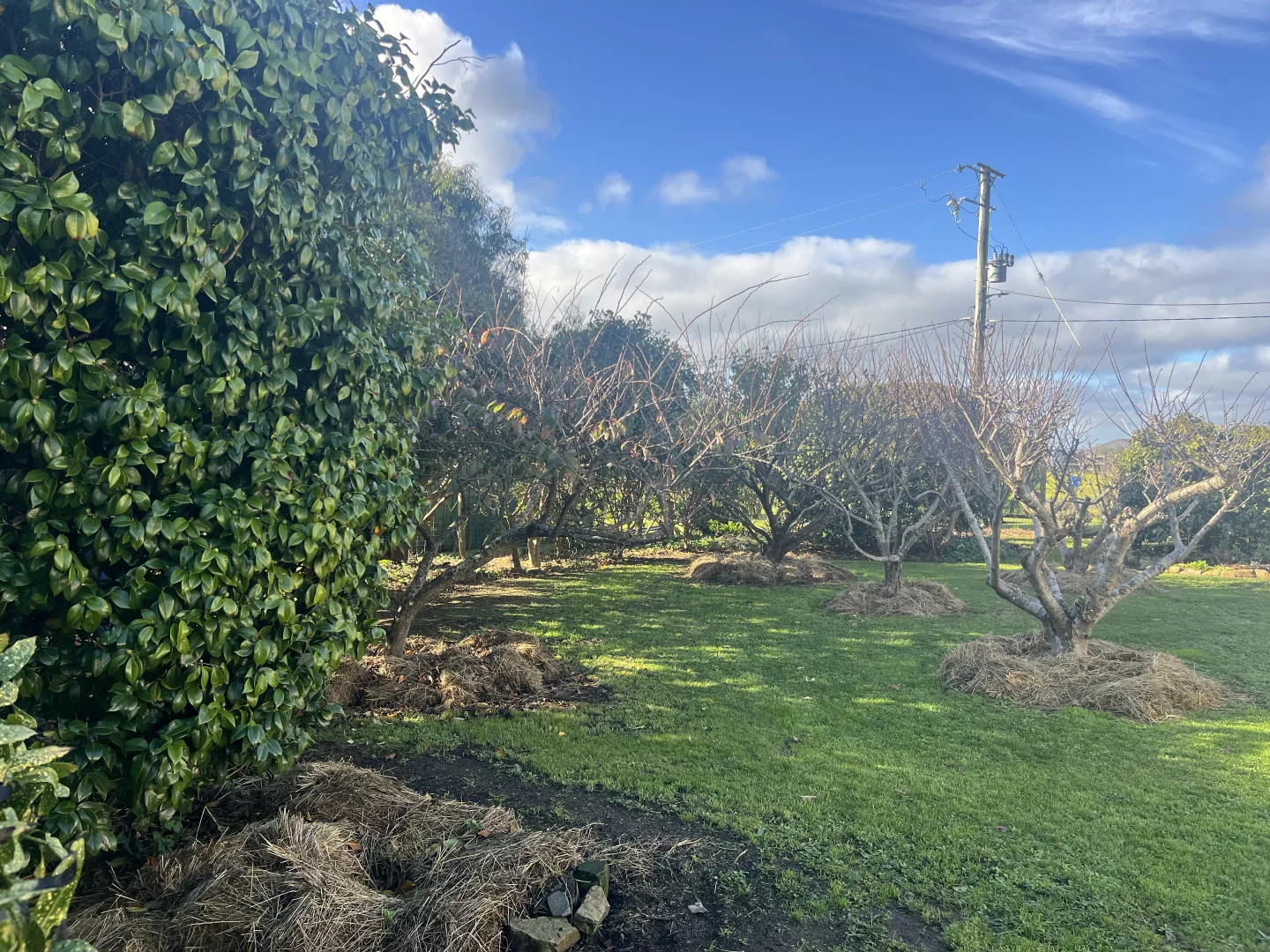 Additional image 27 of 19 Forrest Street, Naracoopa TAS 7256