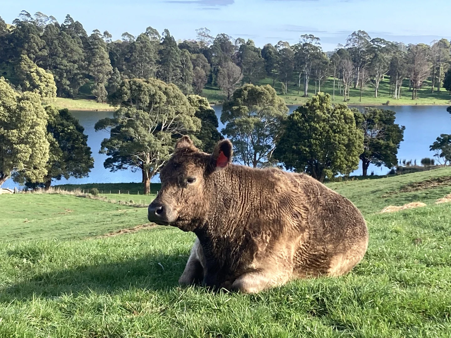 Additional image 2 of 729 Circular Road, Ridgley TAS 7321