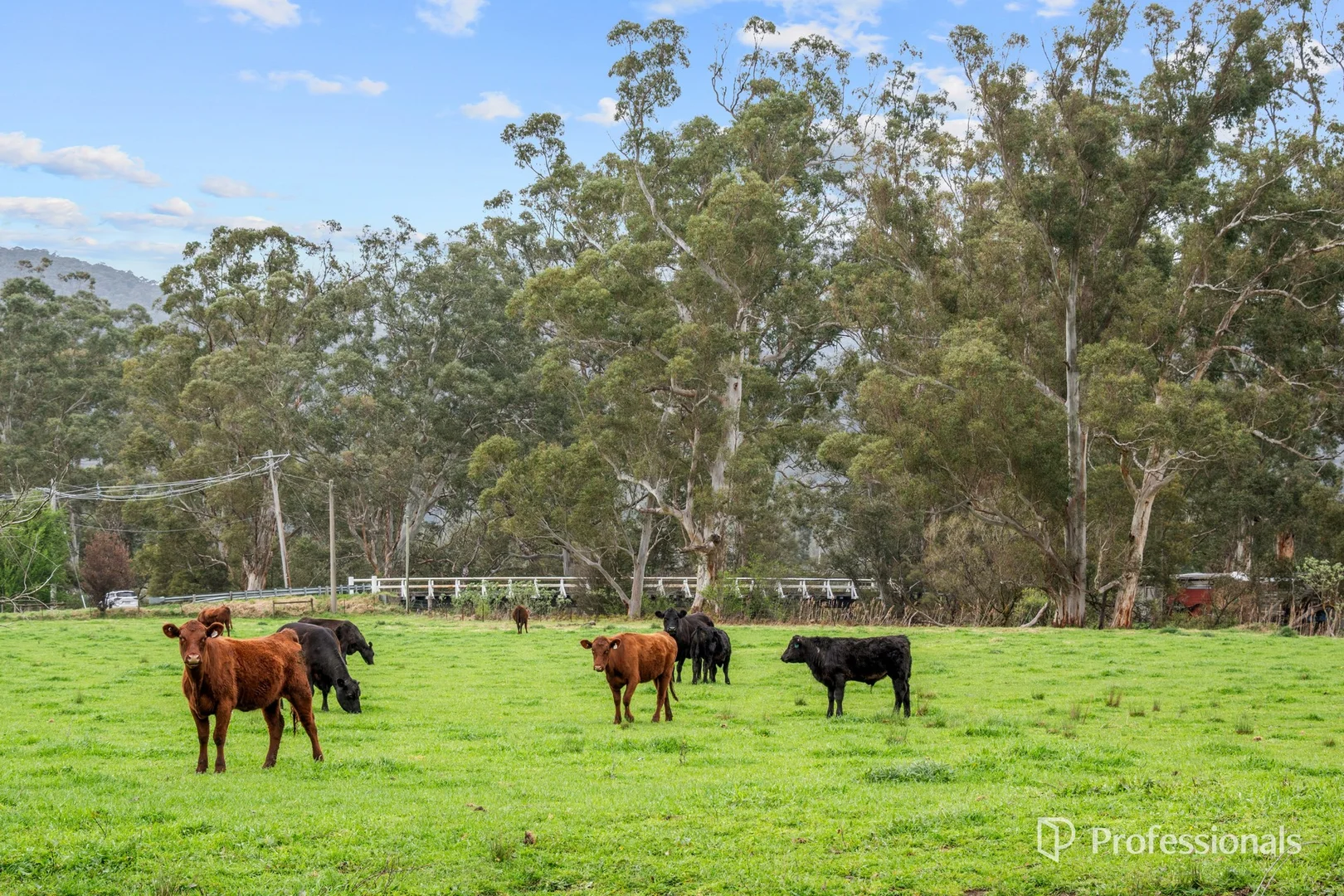 Additional image 35 of 230 Station Road, Wesburn VIC 3799