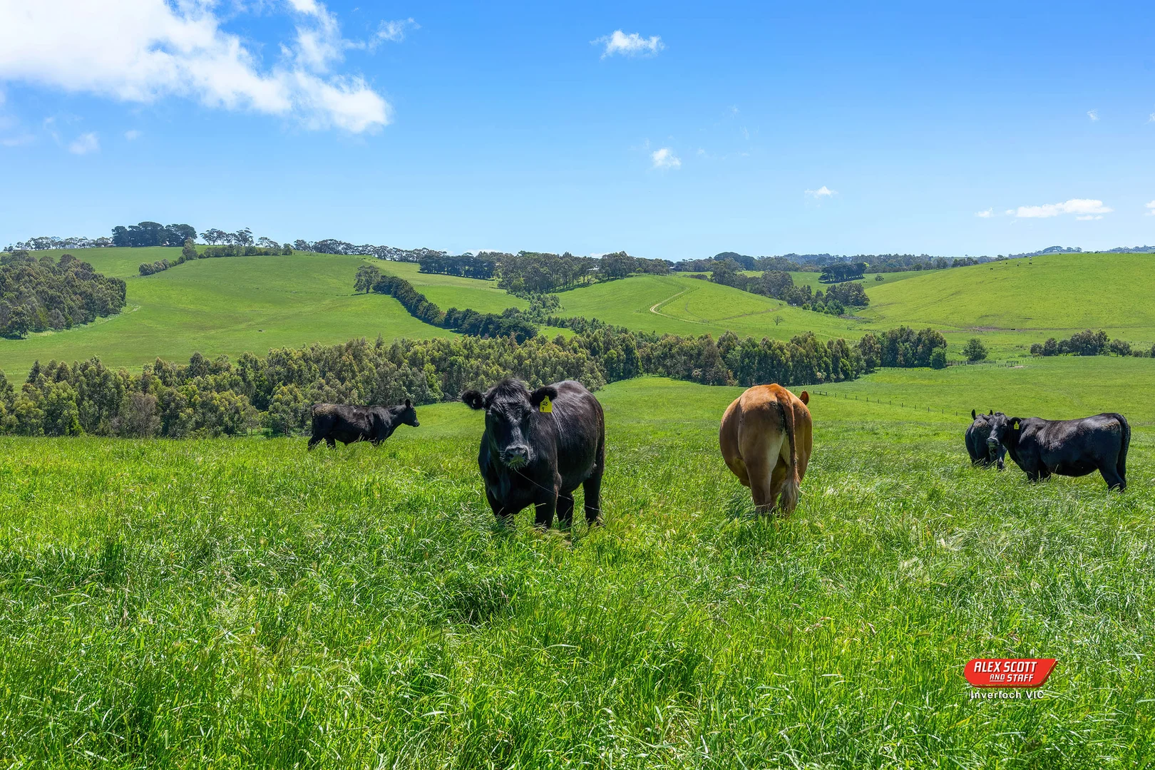 Additional image 3 of Lot 2 Kongwak Road, Glen Alvie VIC 3979