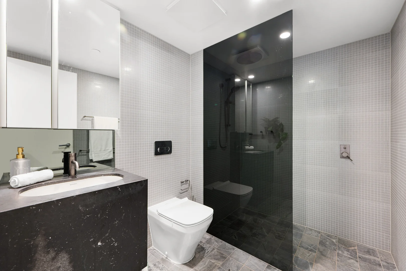 Additional image 8 of 302/226 Victoria Street, Potts Point NSW 2011