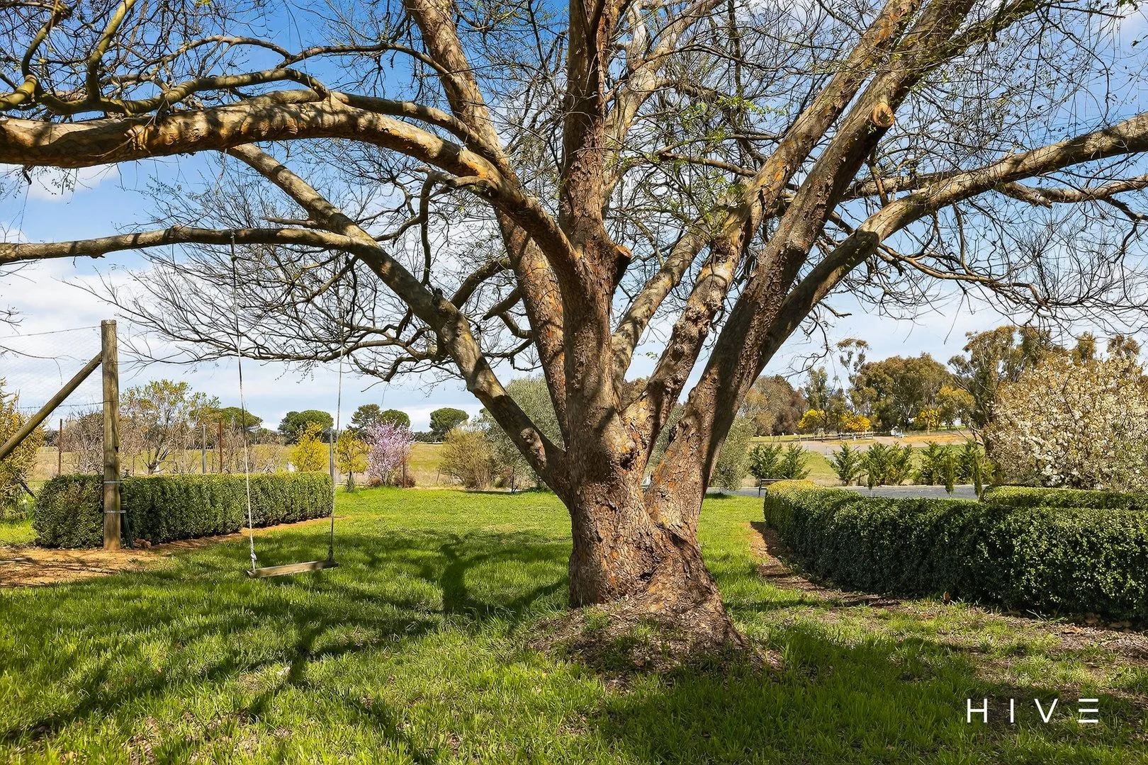 Additional image 25 of 31 David Street, Gundaroo NSW 2620