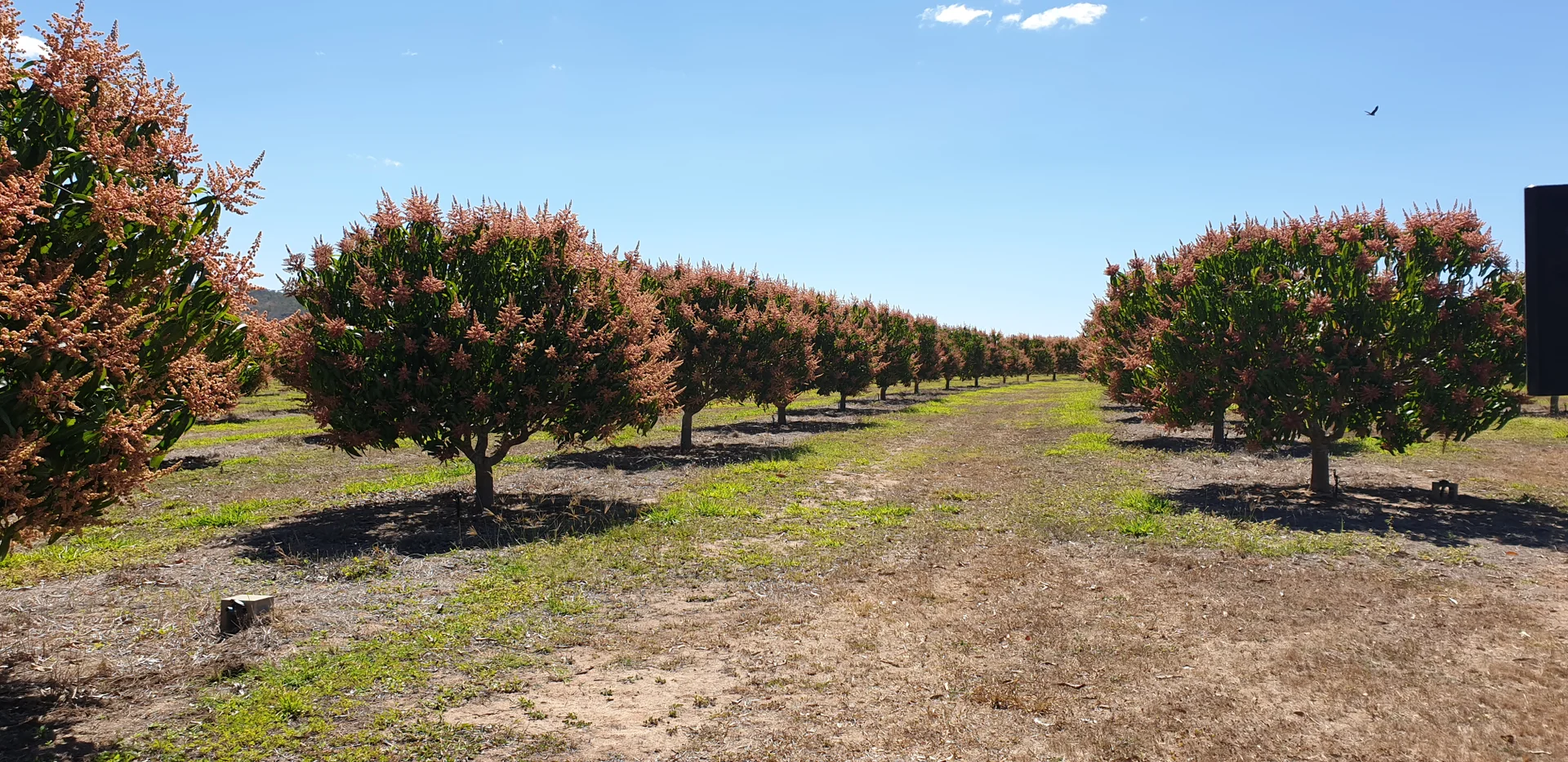 Additional image 3 of Dimbulah QLD 4872