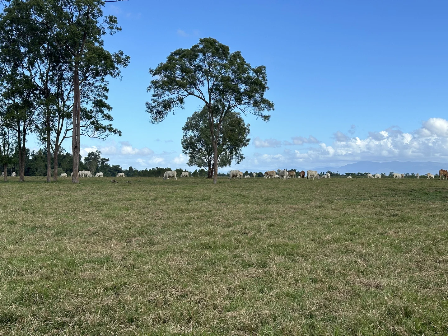 Additional image 20 of Jarra Creek QLD 4854