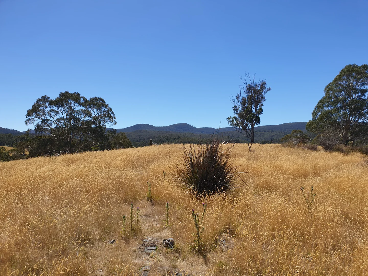 Additional image 8 of Lot 15, Glenbrae Rise, Garden Island Creek TAS 7112
