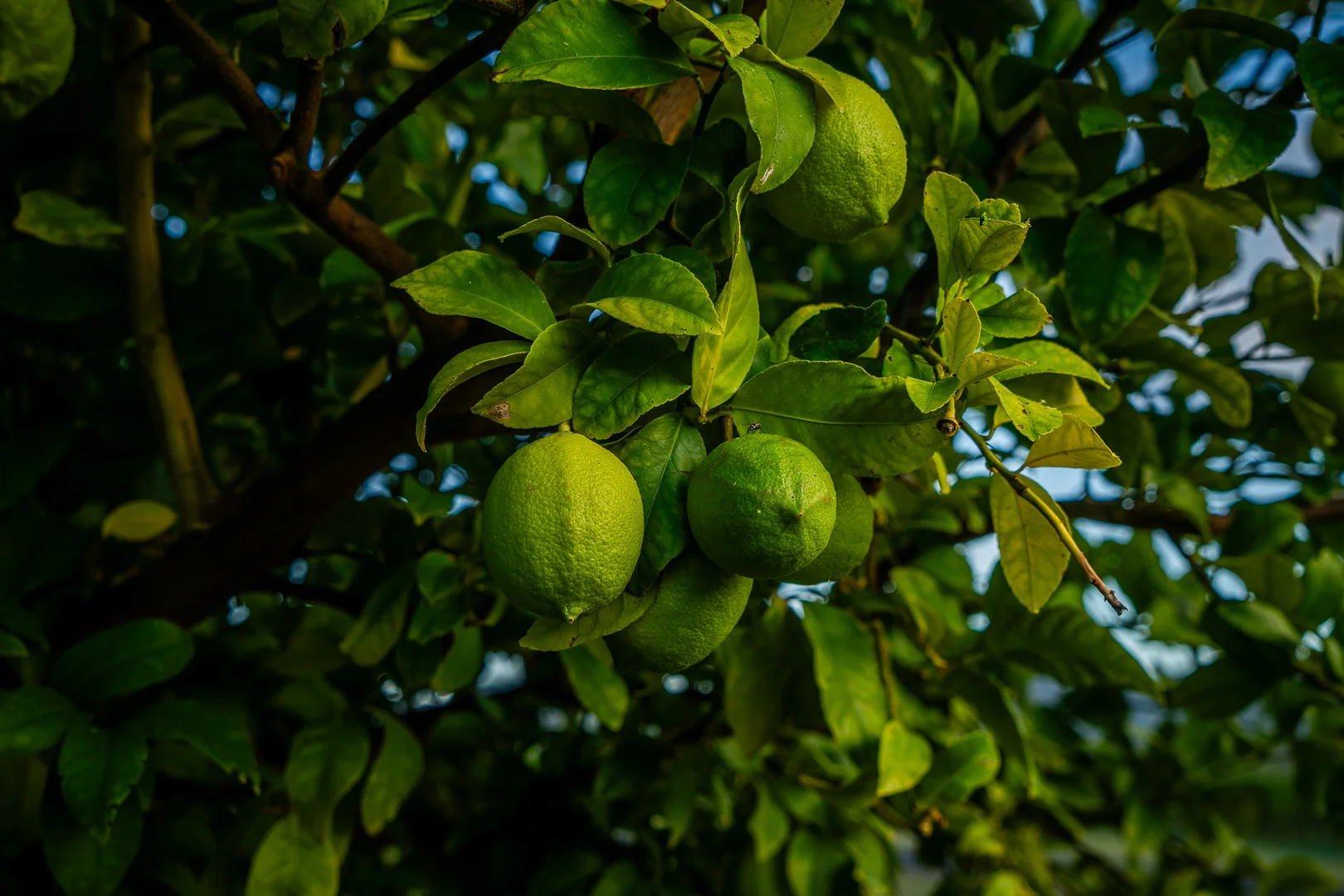 Additional image 9 of Dimbulah QLD 4872