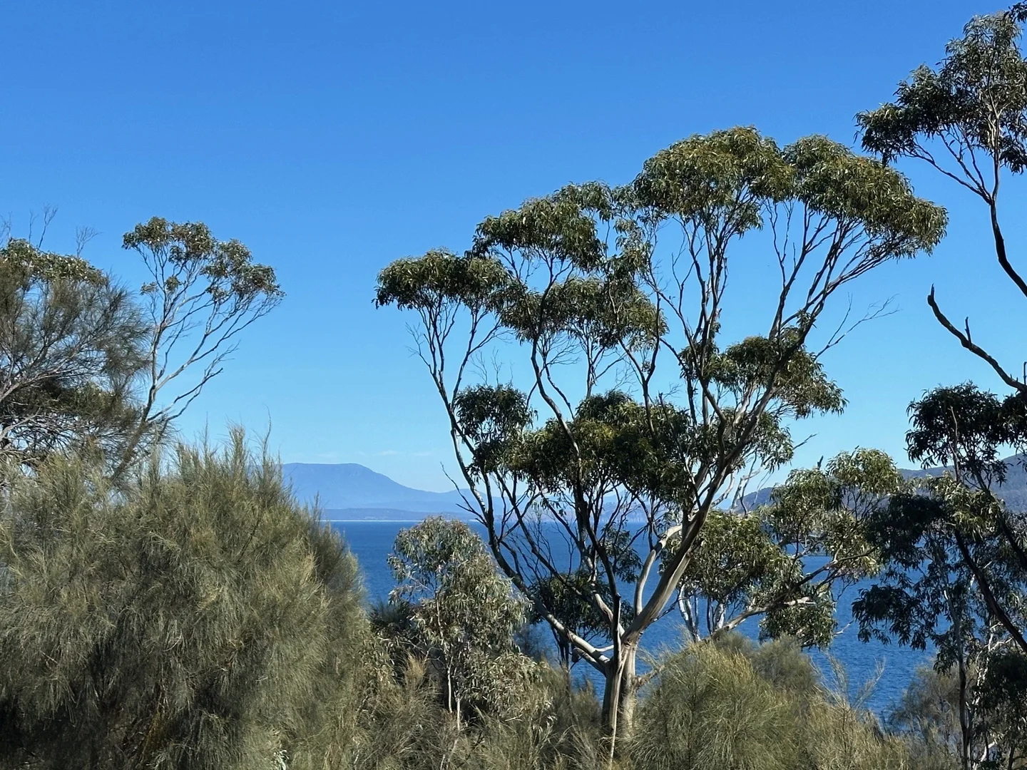 Additional image 15 of 613 White Beach Road, White Beach TAS 7184