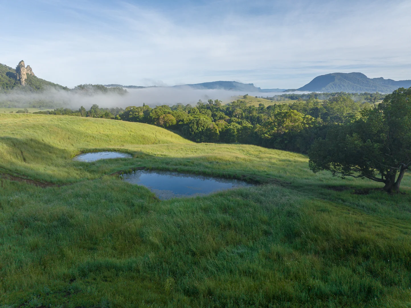 Additional image 9 of 2298 Nimbin Road, Nimbin NSW 2480