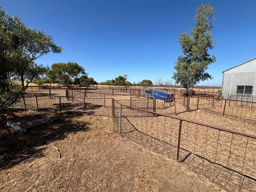 Additional image 12 of 1105 Coorow-Greenhead Road, Coorow WA 6515