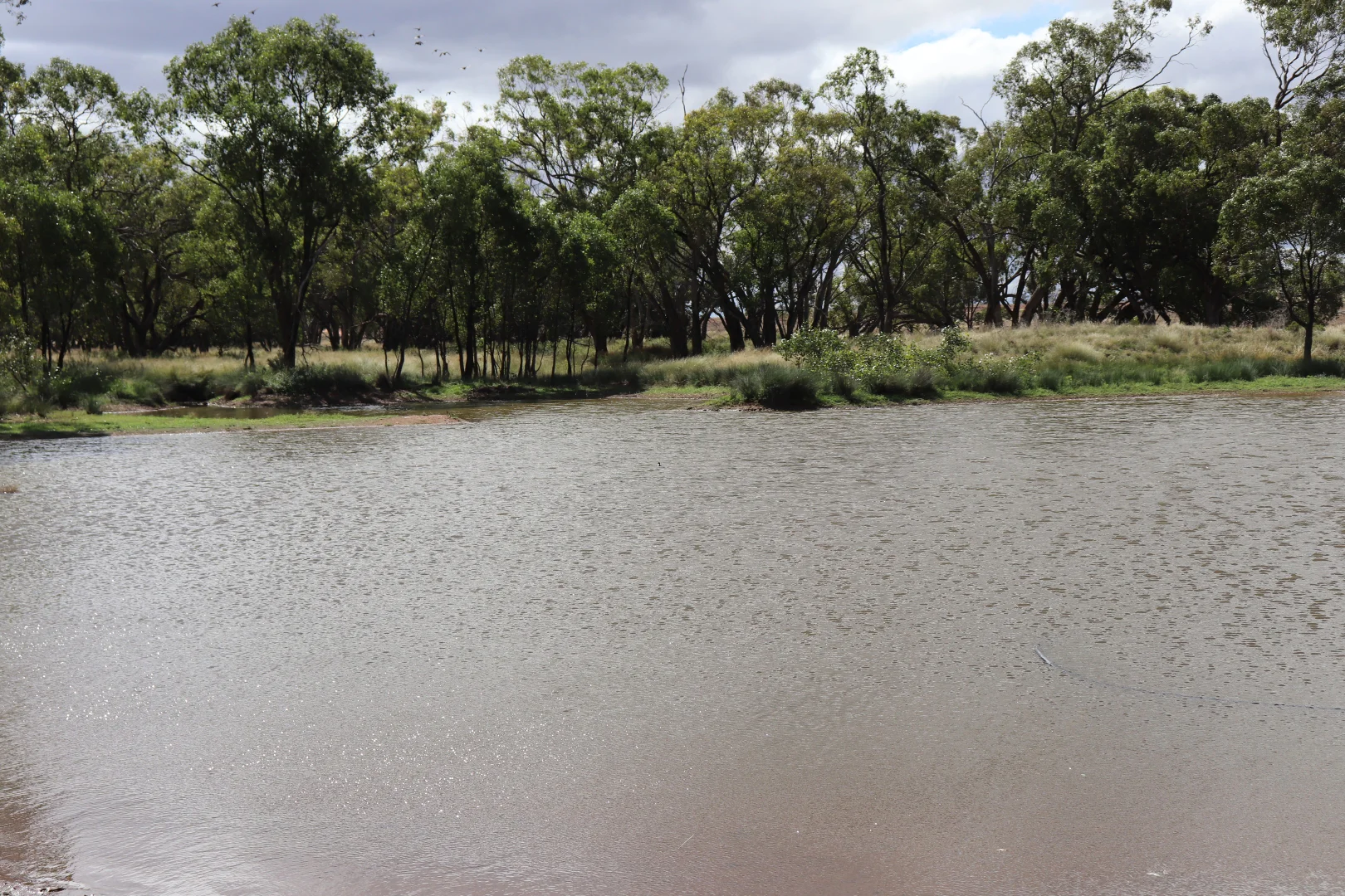 Additional image 21 of 492 Eremeran Road, Condobolin NSW 2877