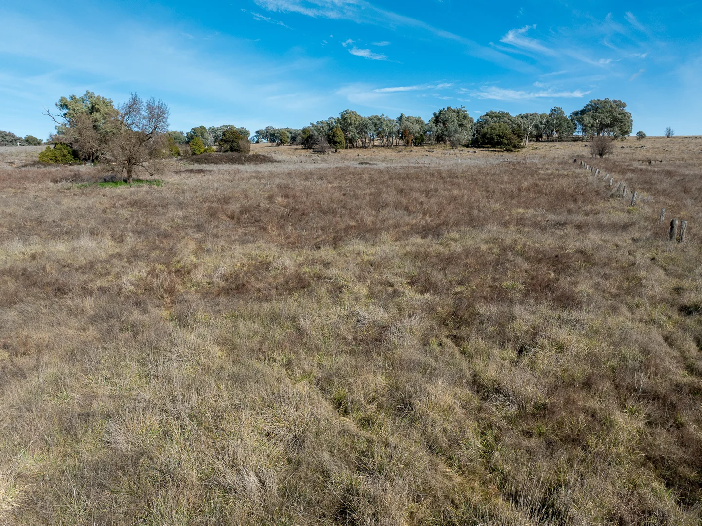 Additional image 6 of 10 Speedy Street, Molong NSW 2866