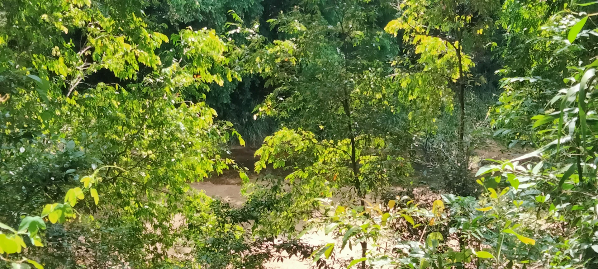 Additional image 22 of 3359 Lowmead Road, Lowmead QLD 4676