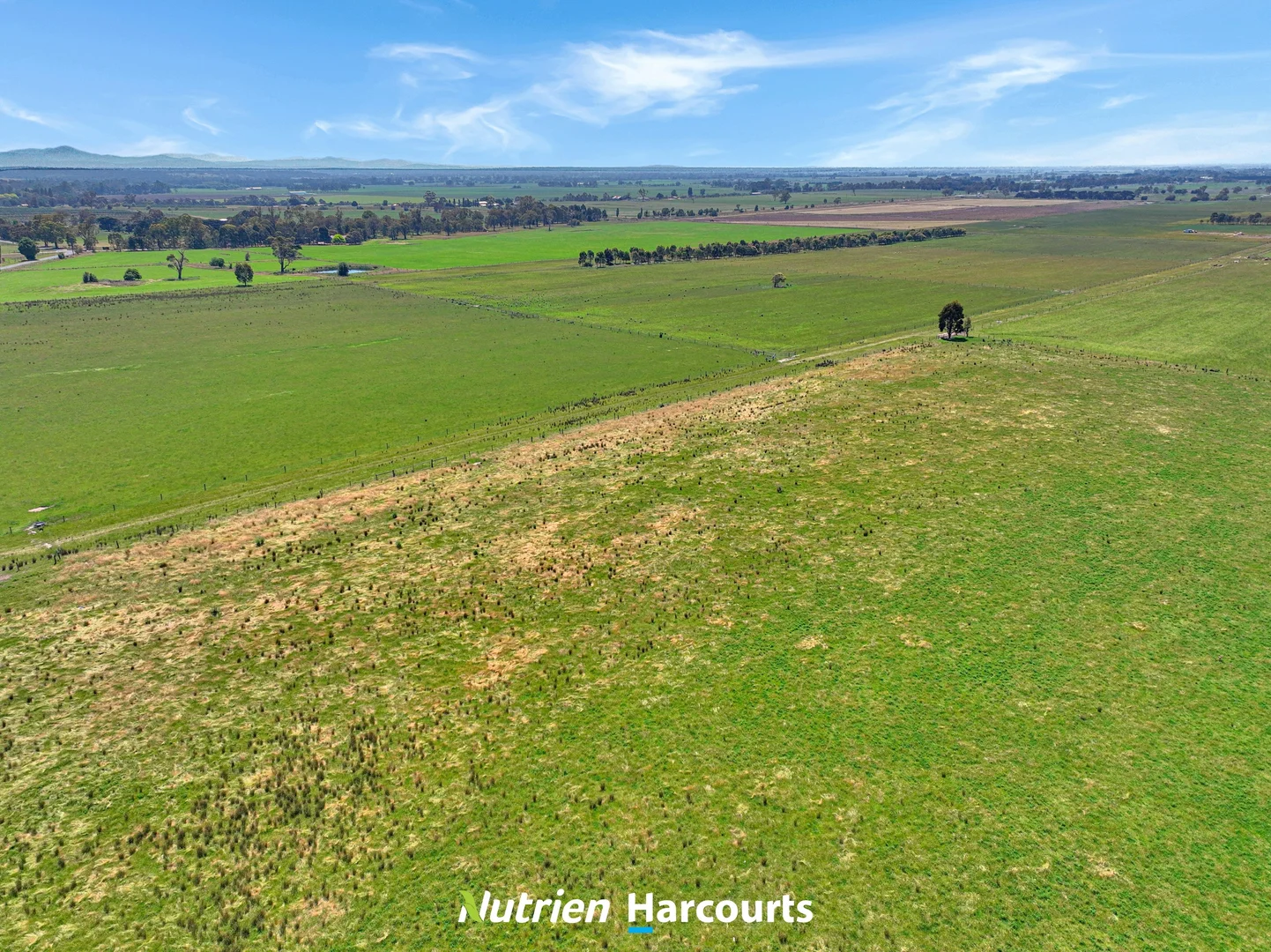 Additional image 8 of 480 Toongabbie-Cowwarr Road, Cowwarr VIC 3857