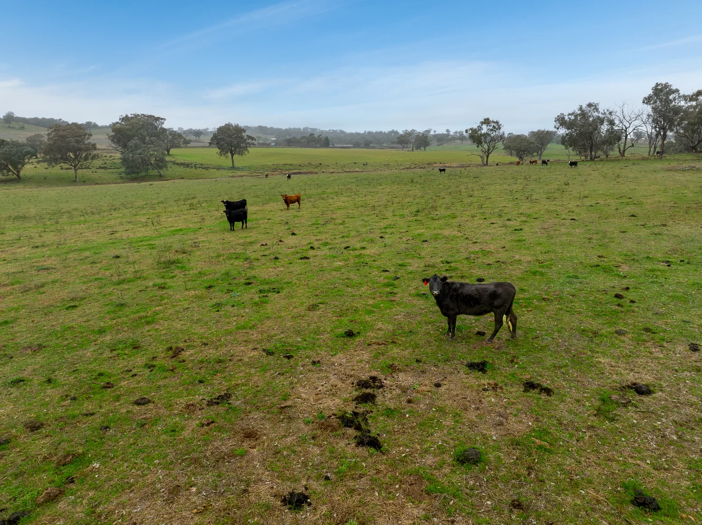 Additional image 10 of 6119 Burrendong Way, Stuart Town NSW 2820