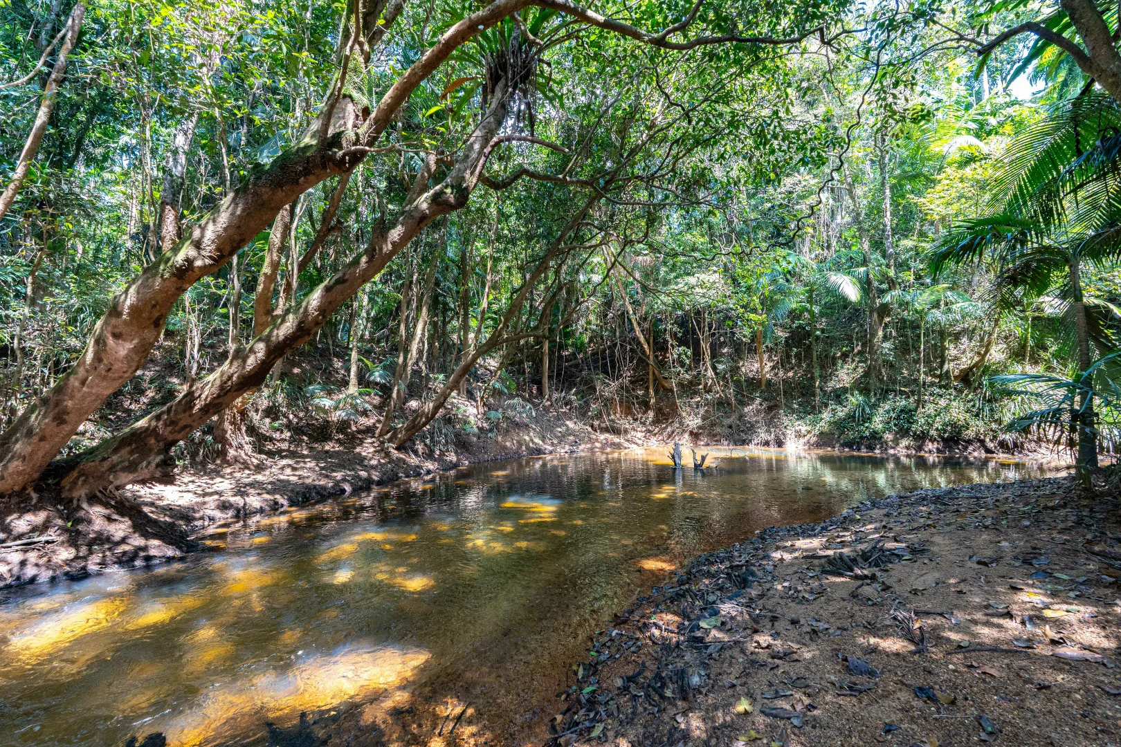 Additional image 12 of 62 Mountain View Cl, Maria Creeks QLD 4855