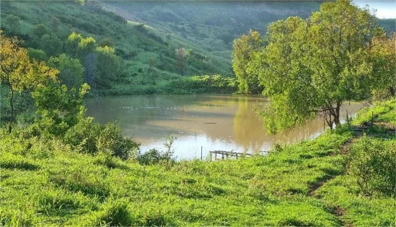 Additional image 12 of Ingoldsby QLD 4343