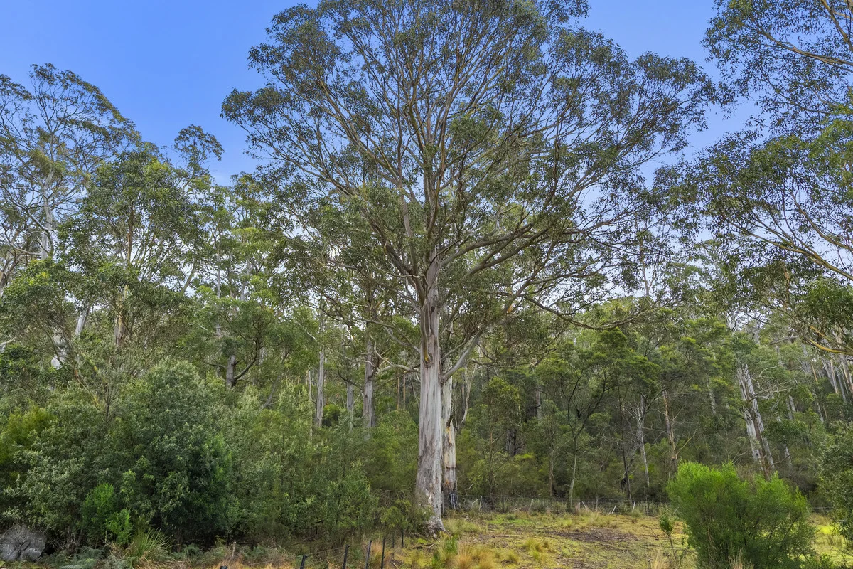 Additional image 19 of 1 & 2 Bresnehans Road, Little Swanport TAS 7190