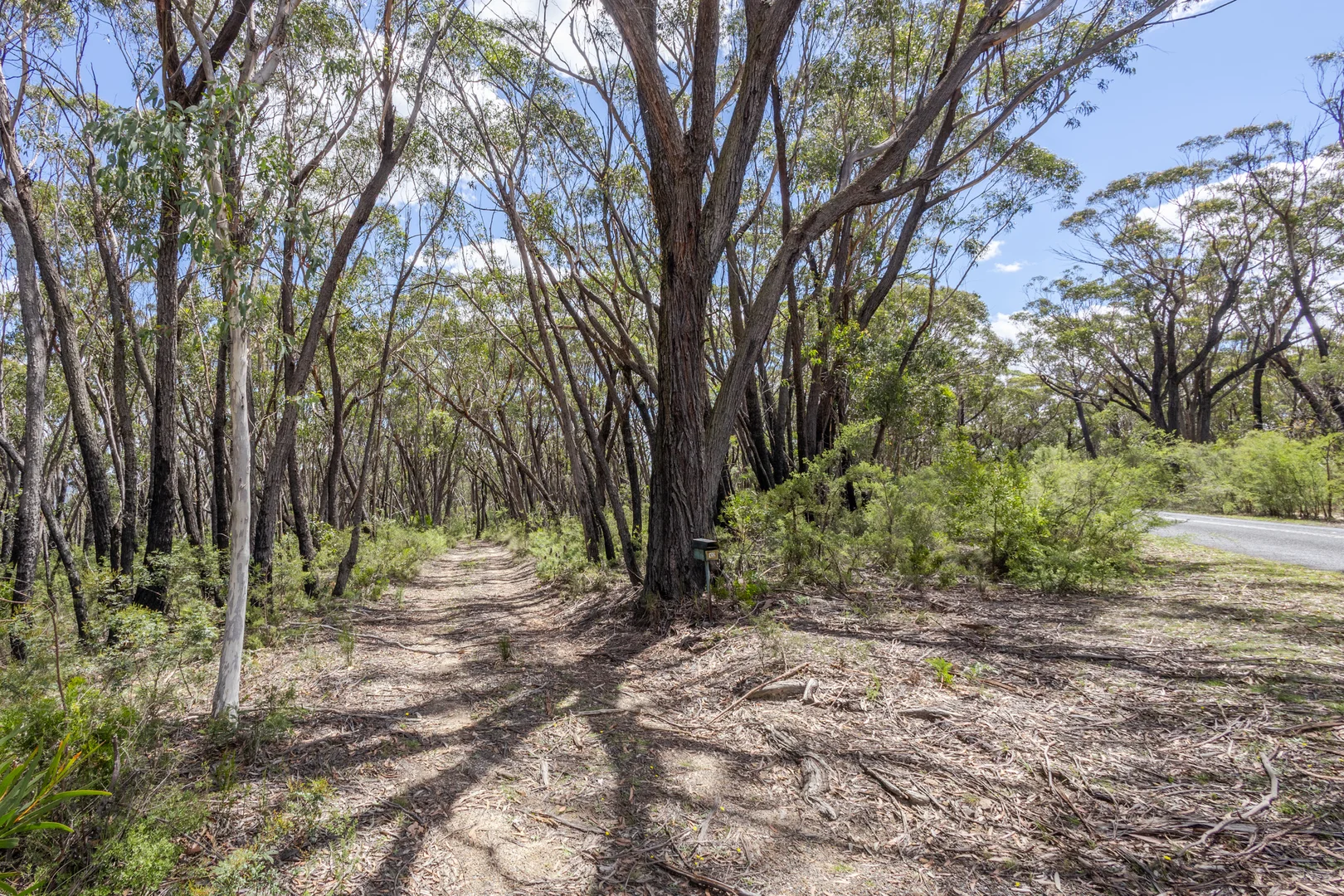 Additional image 4 of 102 Mount York Road, Mount Victoria NSW 2786