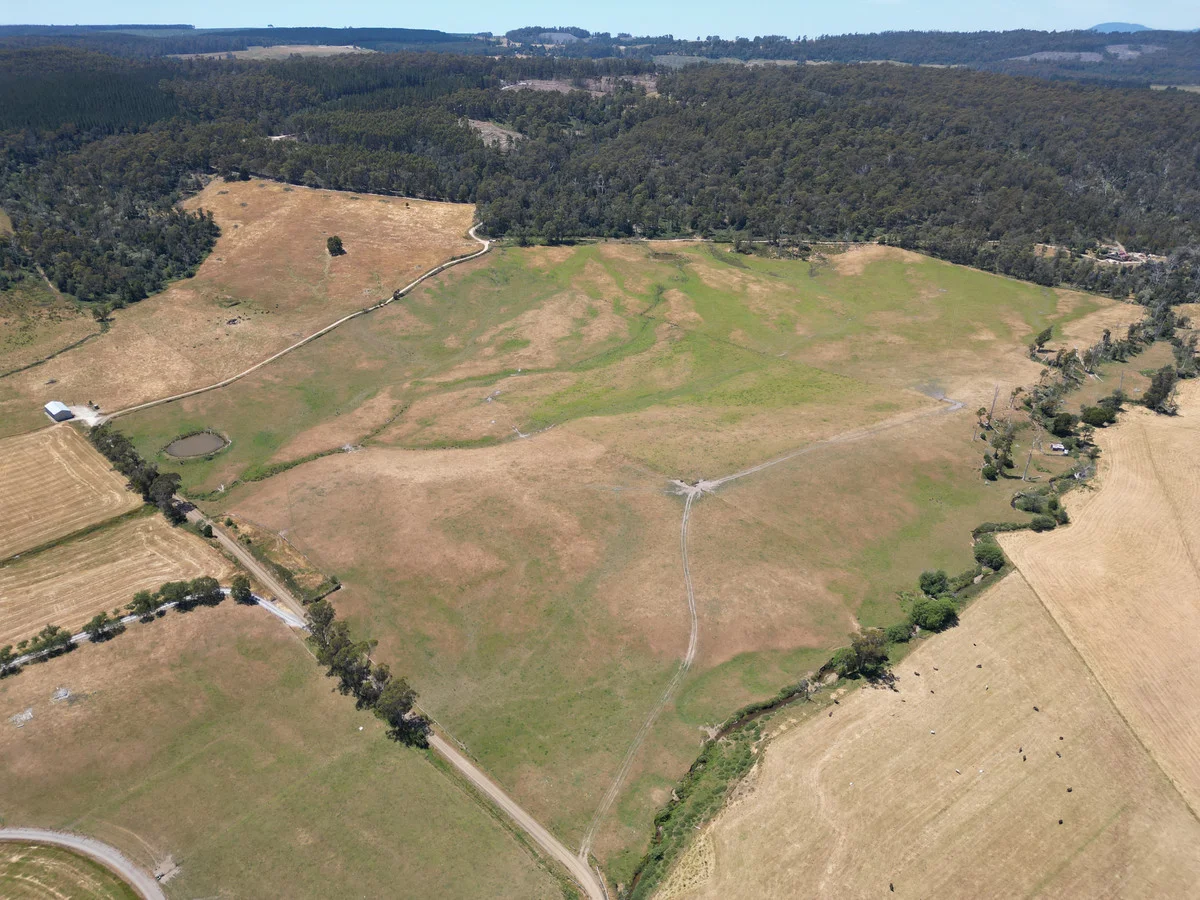 Additional image 5 of 102-226 Gundagai Road, Bangor TAS 7267