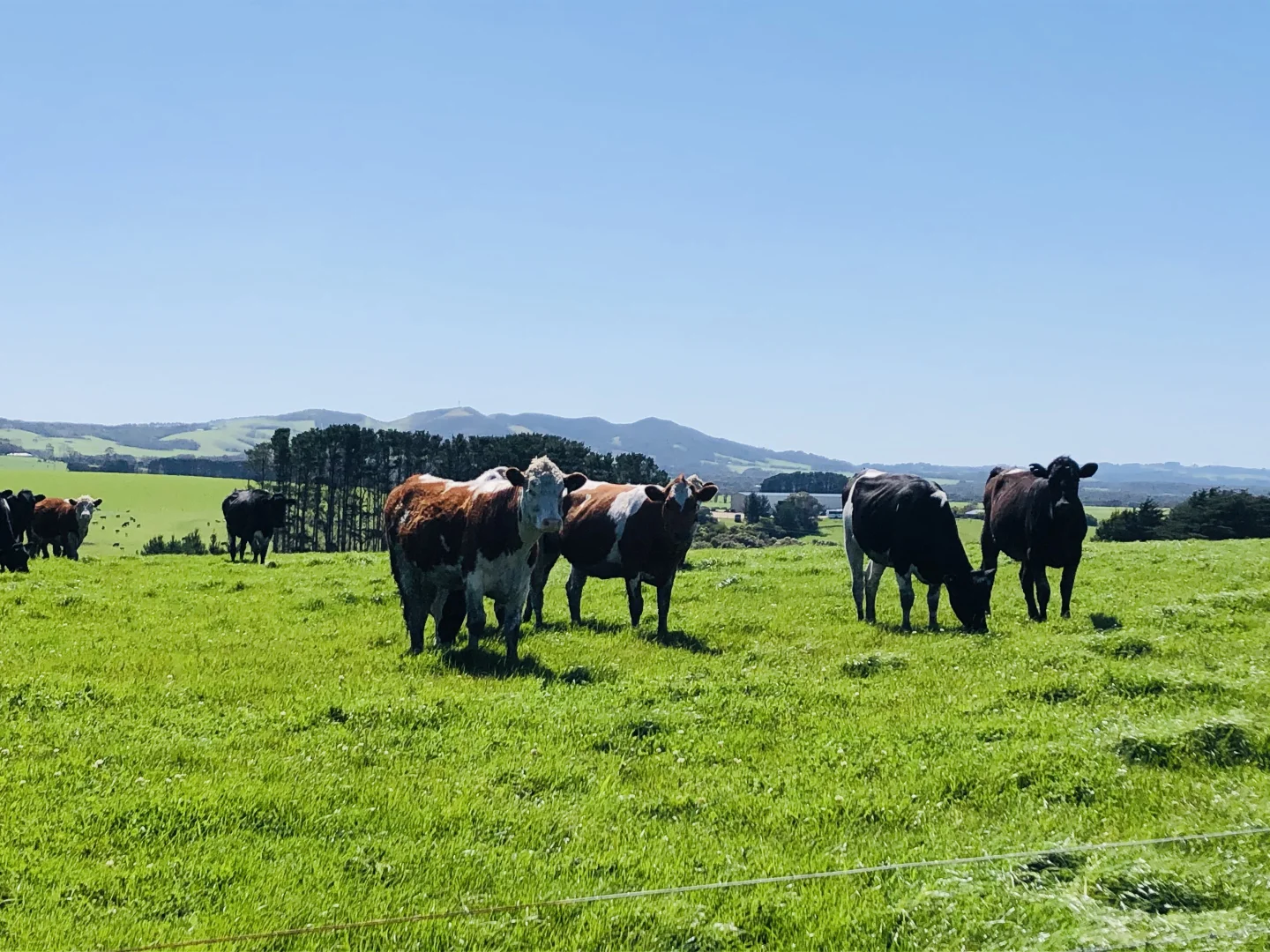 Additional image 18 of 2988 Meeniyan-Prom Rd, Yanakie VIC 3960