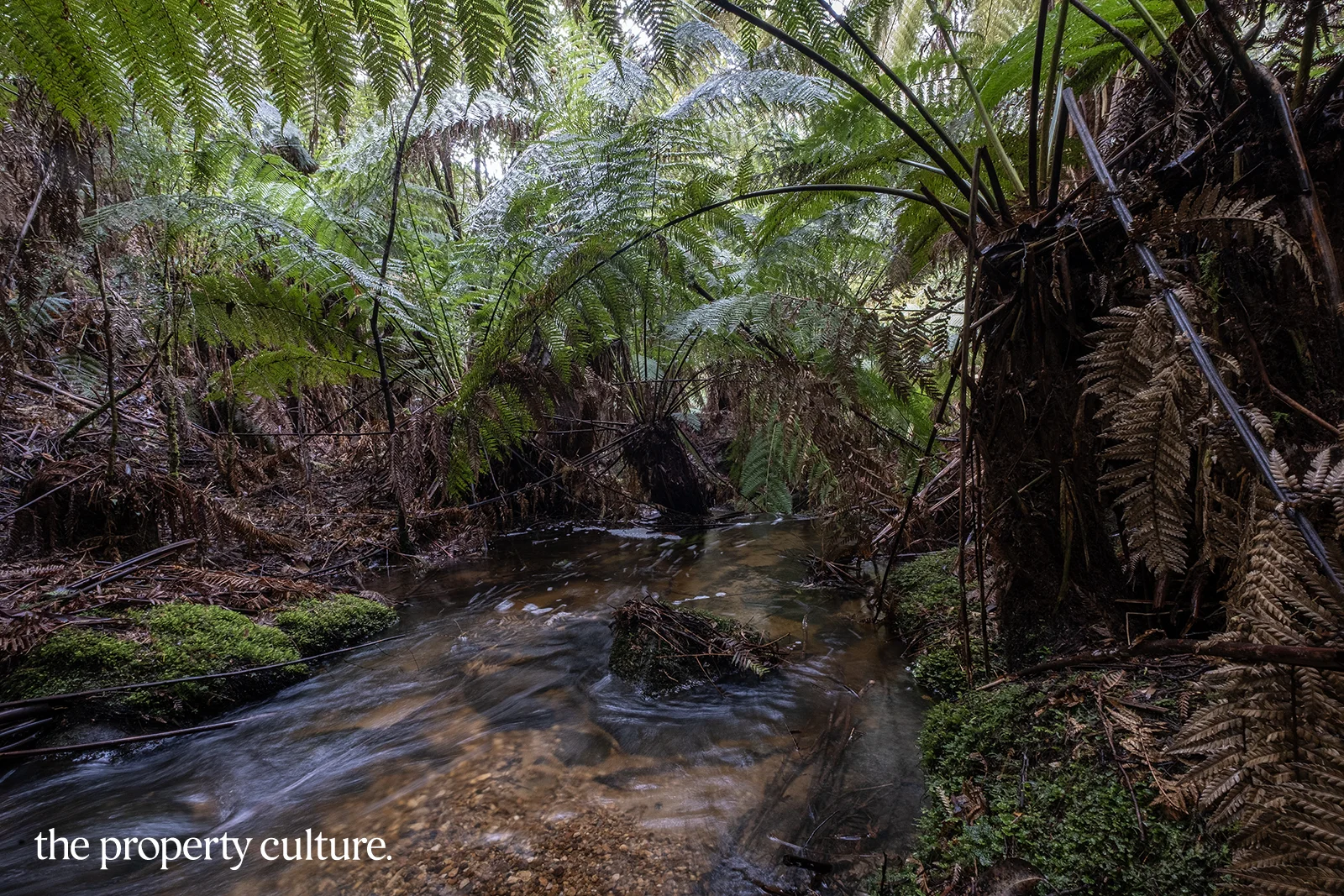 Additional image 27 of 1, 2 & 3 Bakers Creek Rd, Lucaston TAS 7109