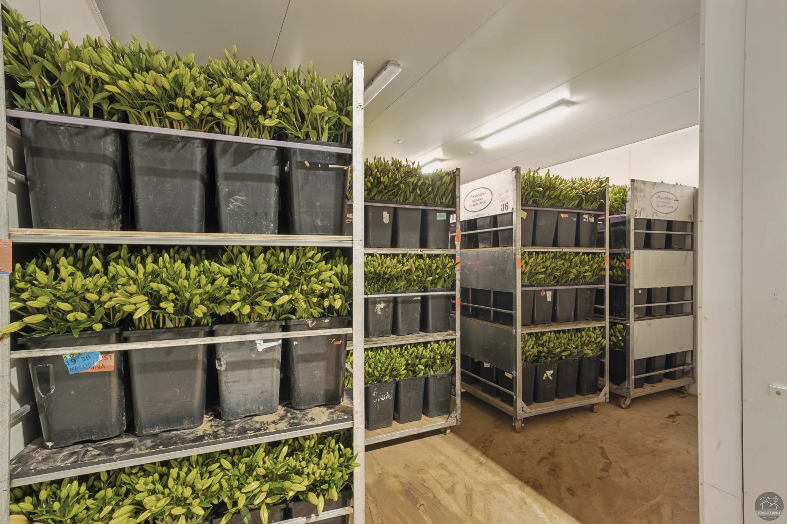 Additional image 13 of 620 River Road, Murchison North VIC 3610