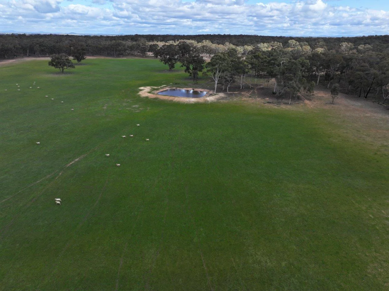 Additional image 17 of 457 Scenic Road, Eddington VIC 3472